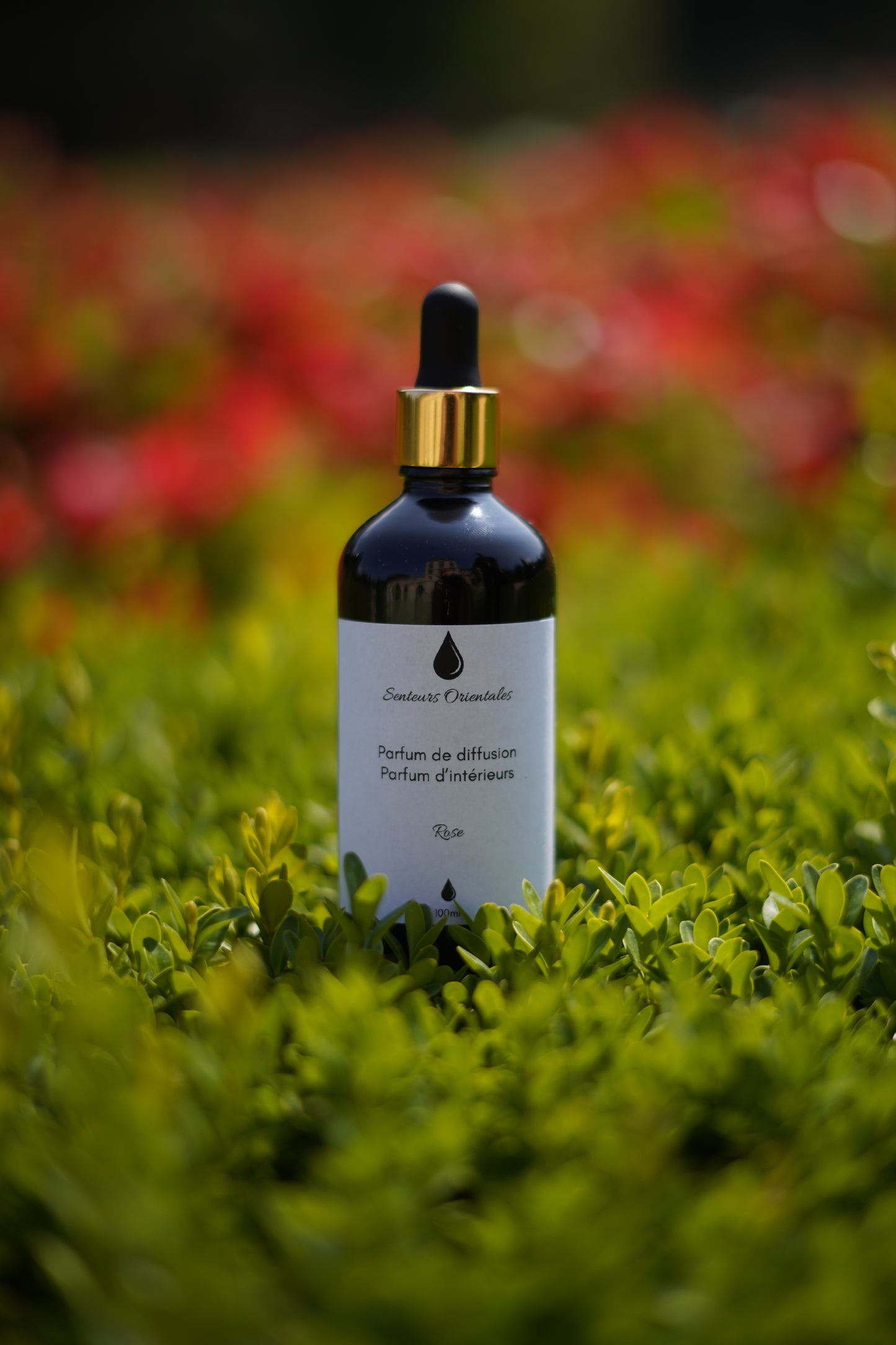 Parfum d’Intérieur à la Rose