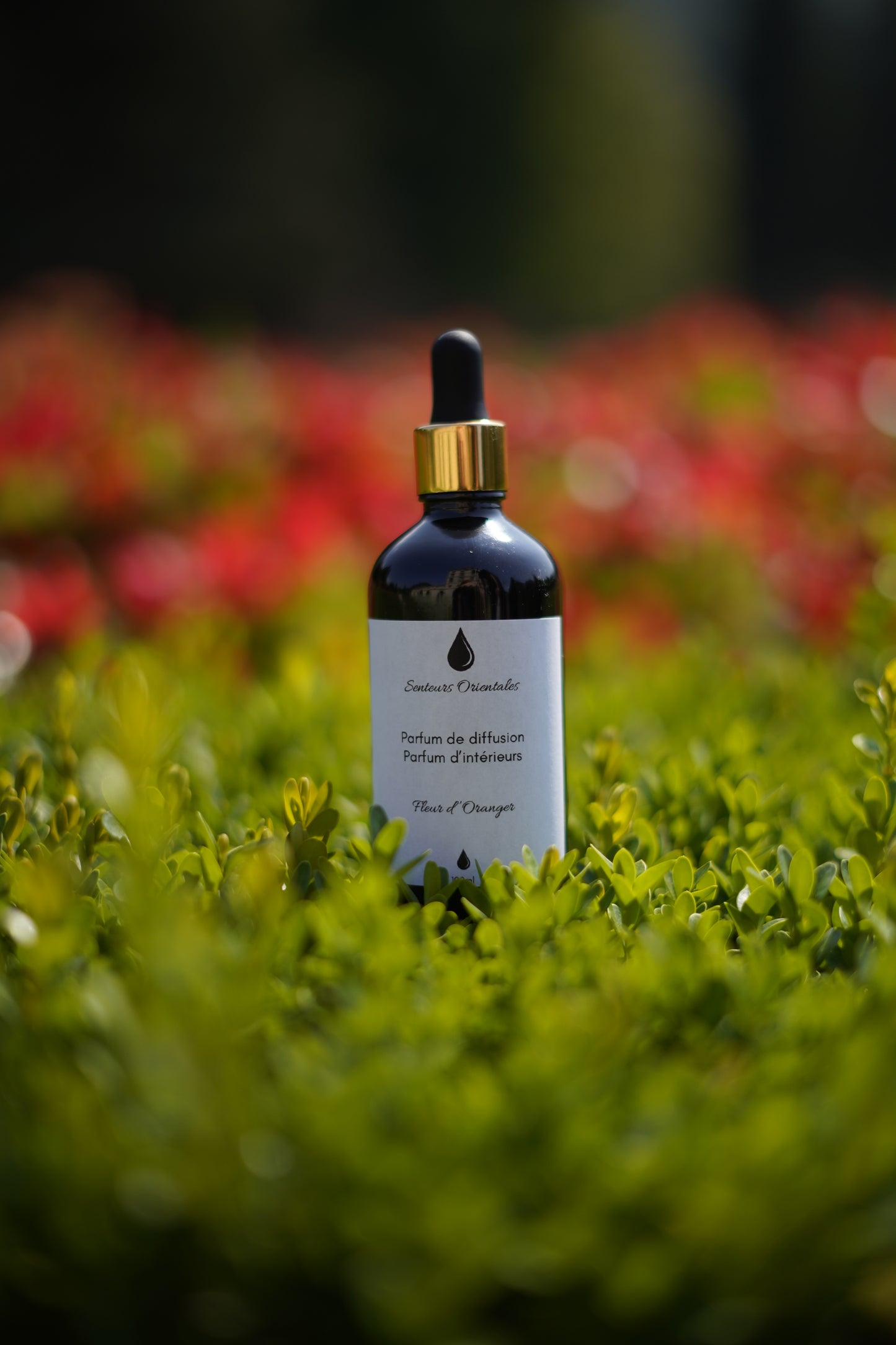 Parfum d’Intérieur à la Fleur d’Oranger