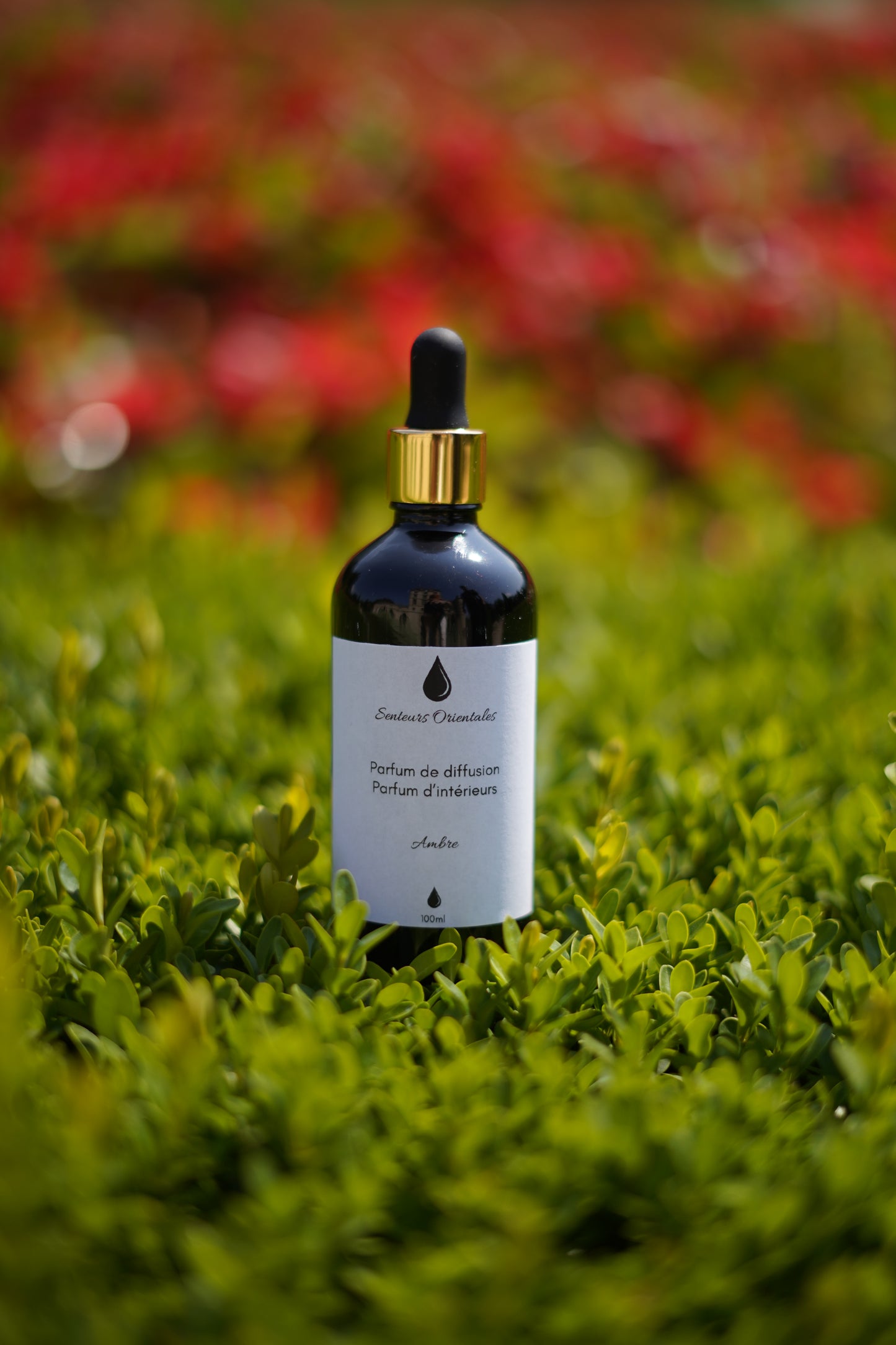 Parfum d’Intérieur à l’Ambre