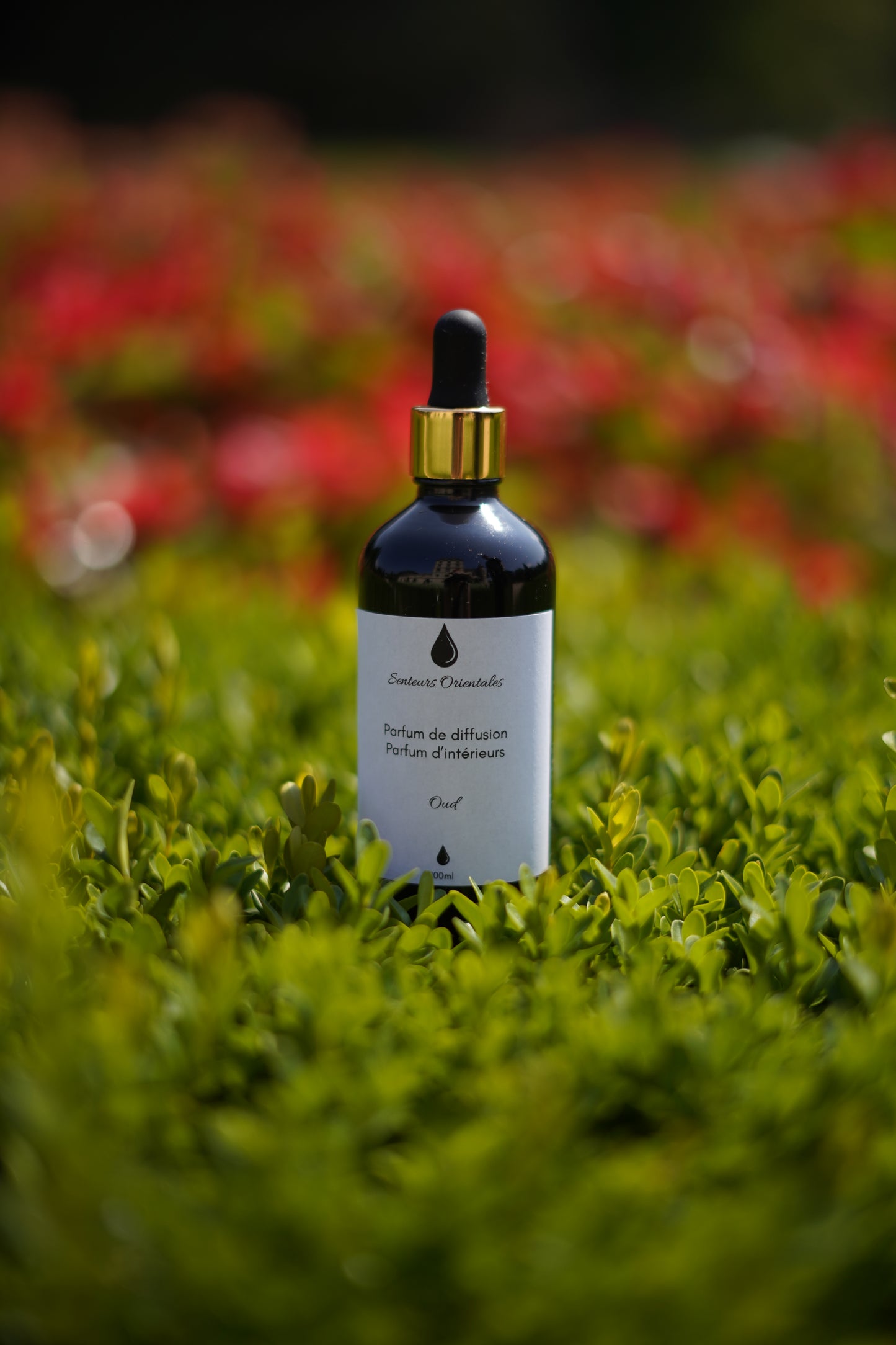 Parfum d’Intérieur à l'Oud