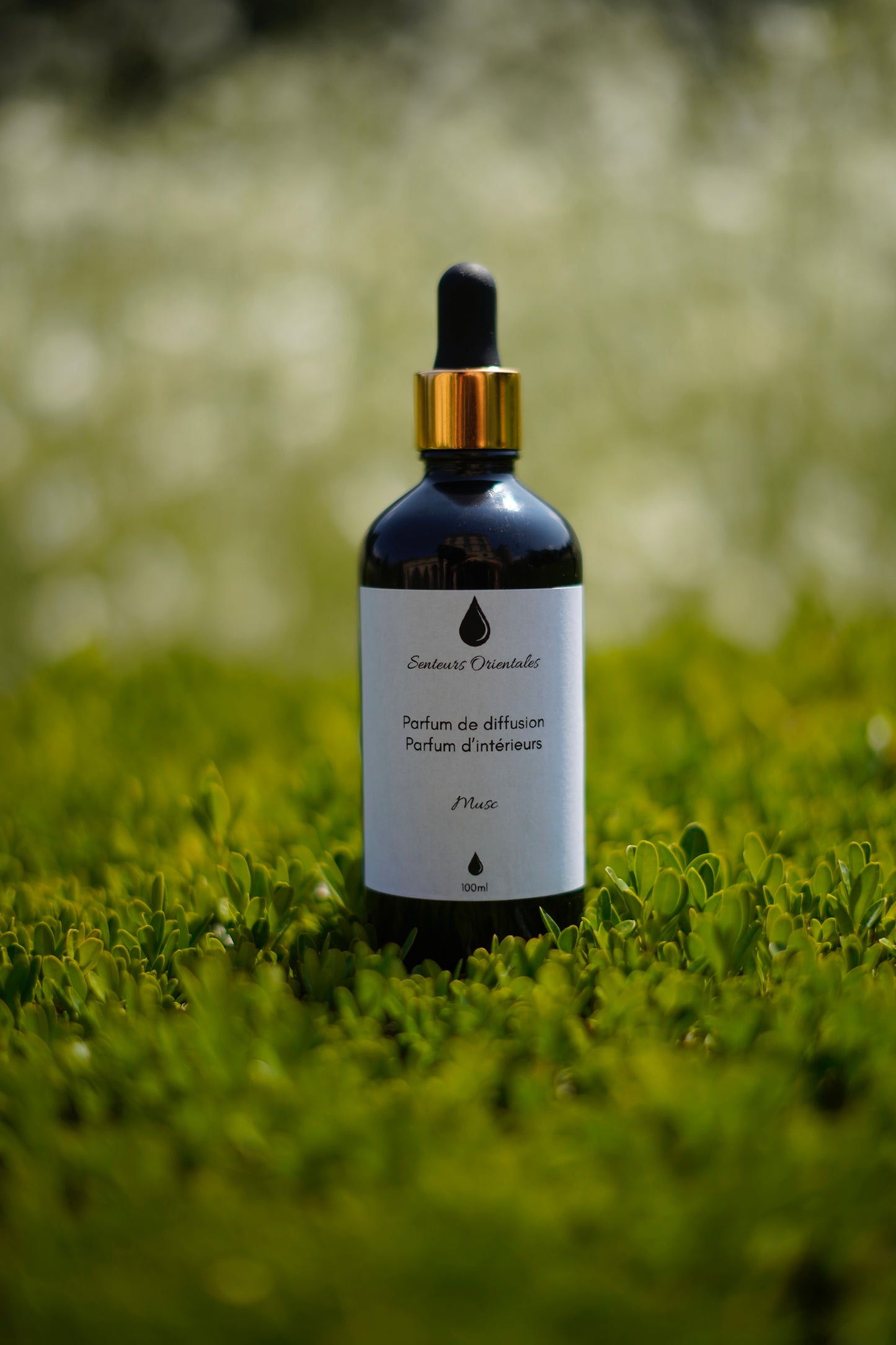 Parfum d’Intérieur au Musc