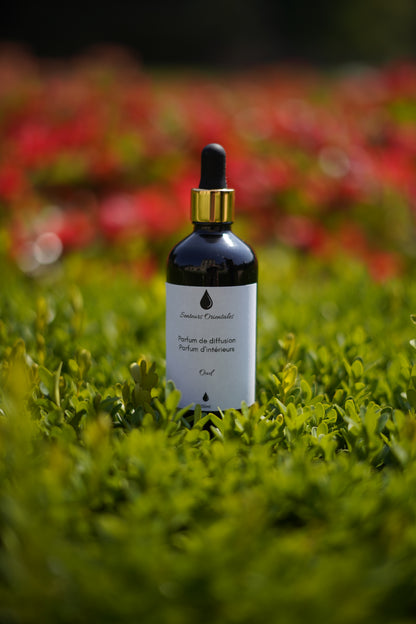 Parfum d’Intérieur à l'Oud